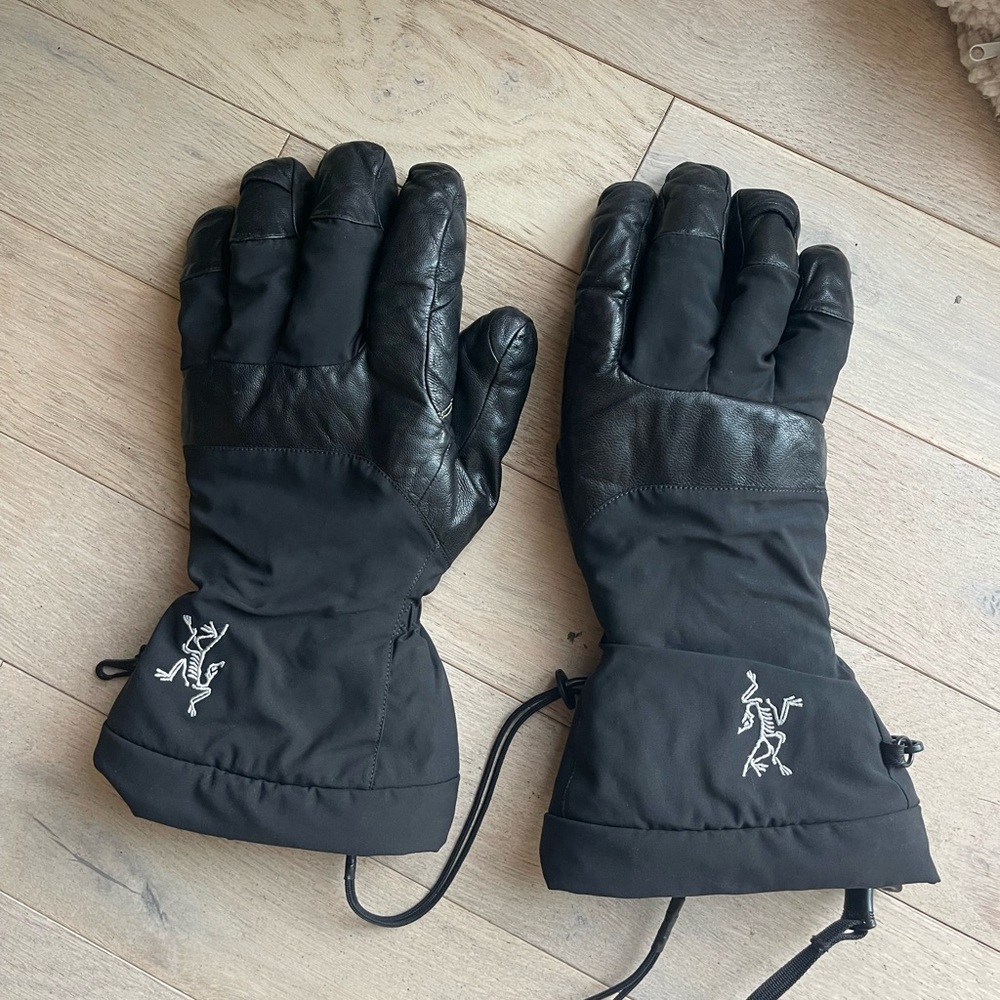 ArcTeryx Ski Gloves